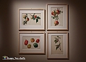 VBS_1216 - Camillo Boito - L'Arte Italiana e l'Ornamento Floreale 1898